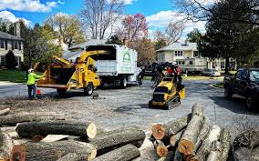Lawn Maintenance Plans in Ladera Ranch, CA